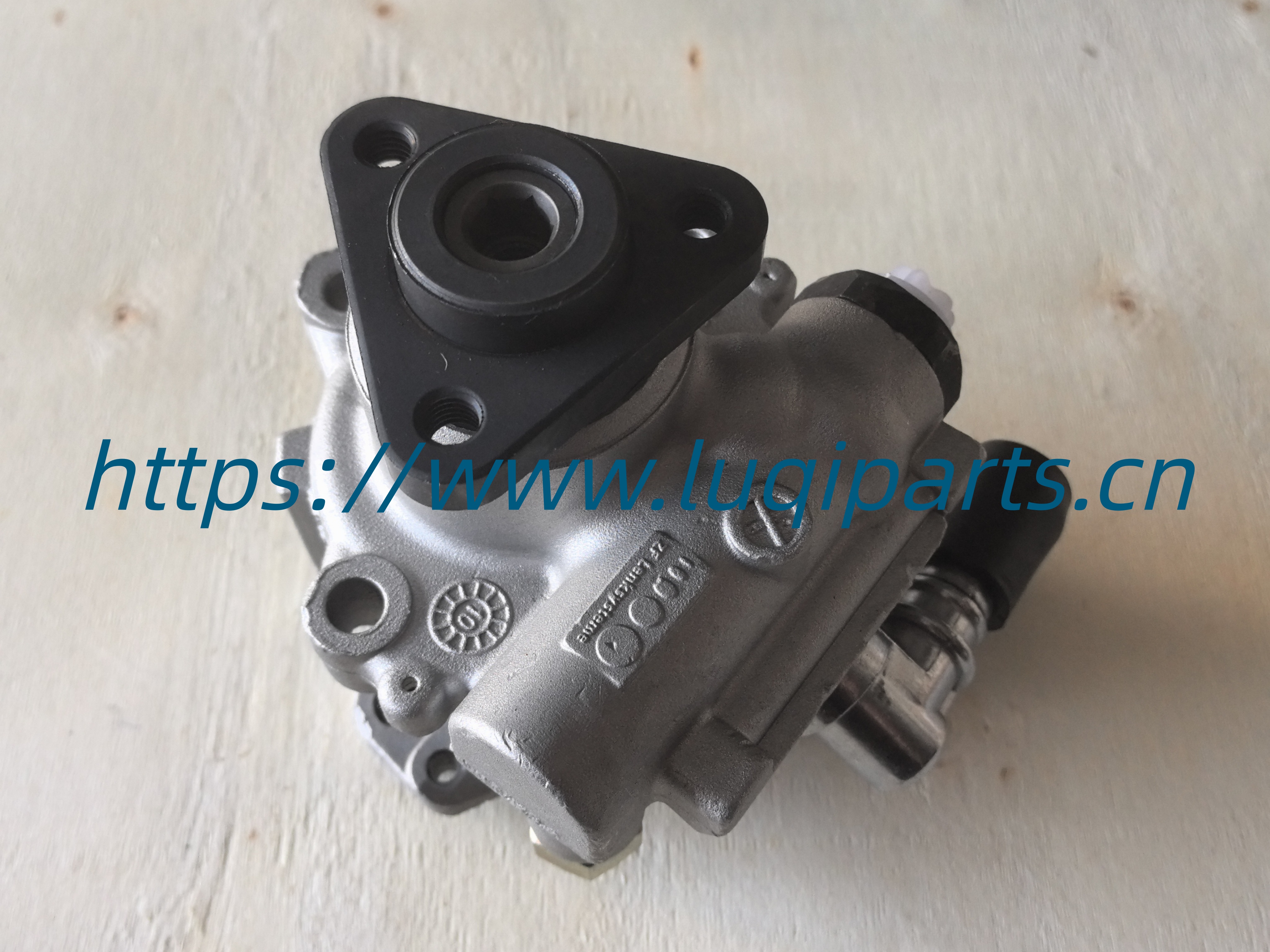 S21-3407010 Steering pump CHERY Jaggi